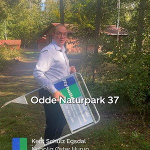 Opslagsbillede