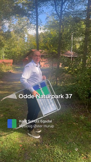 opslagsbillede