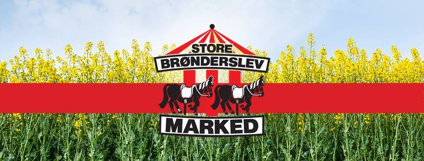 Mød Dansk Folkeparti på Brønderslev Marked