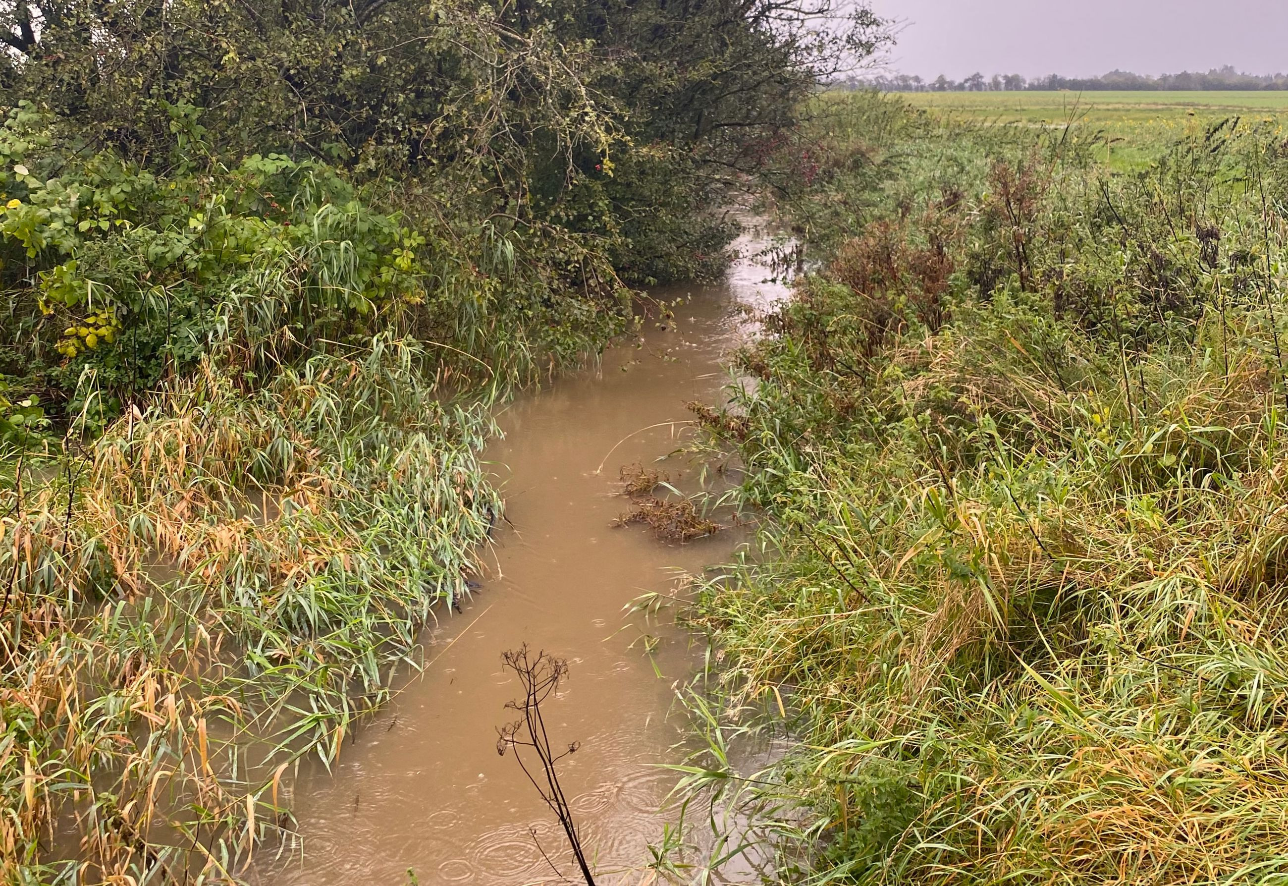 Vejle Kommune intensiverer indsatsen mod kvælstofudledning i Vejle Å-oplandet