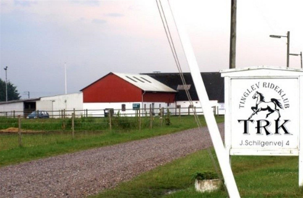 Prøv ridning i Tinglev Rideklub