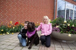 Nyt initiativ i Vallensbæk kombinerer læsning og leg med læsehunden Hollie for at styrke børns læseglæde og selvtillid