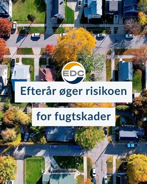 opslagsbillede