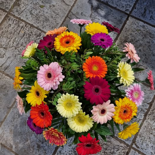 Fynbogården Blomster ApS tilbyder fleksibelt blomsterabonnement til enhver anledning
