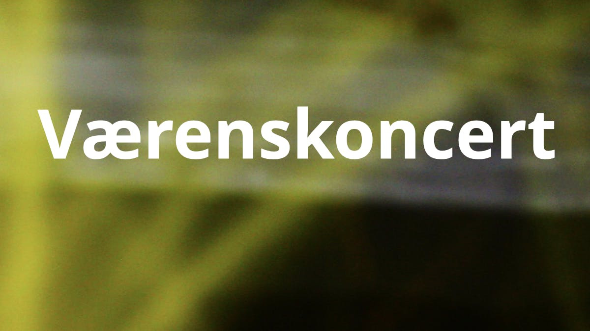 Værenskoncert & SøndagsRo: Musikmeditation i Helsingør