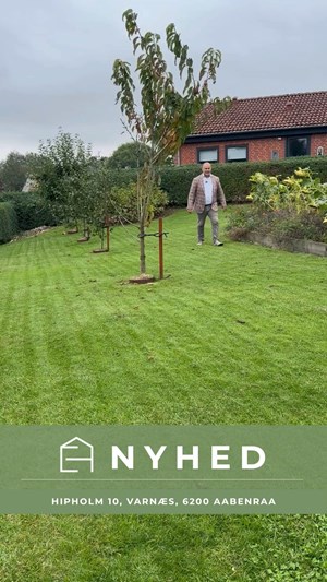 opslagsbillede