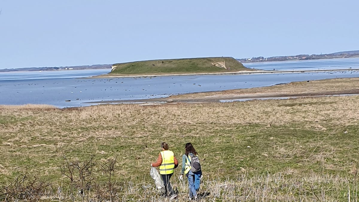 Strandoprydning i Roskilde: Affaldsfri fjord 2025