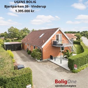 Opslagsbillede