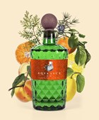 Oplev smagen af Middelhavet med AQVA LVCE Navy V.I.C.E. gin fra Lahvino Wine & Spirits