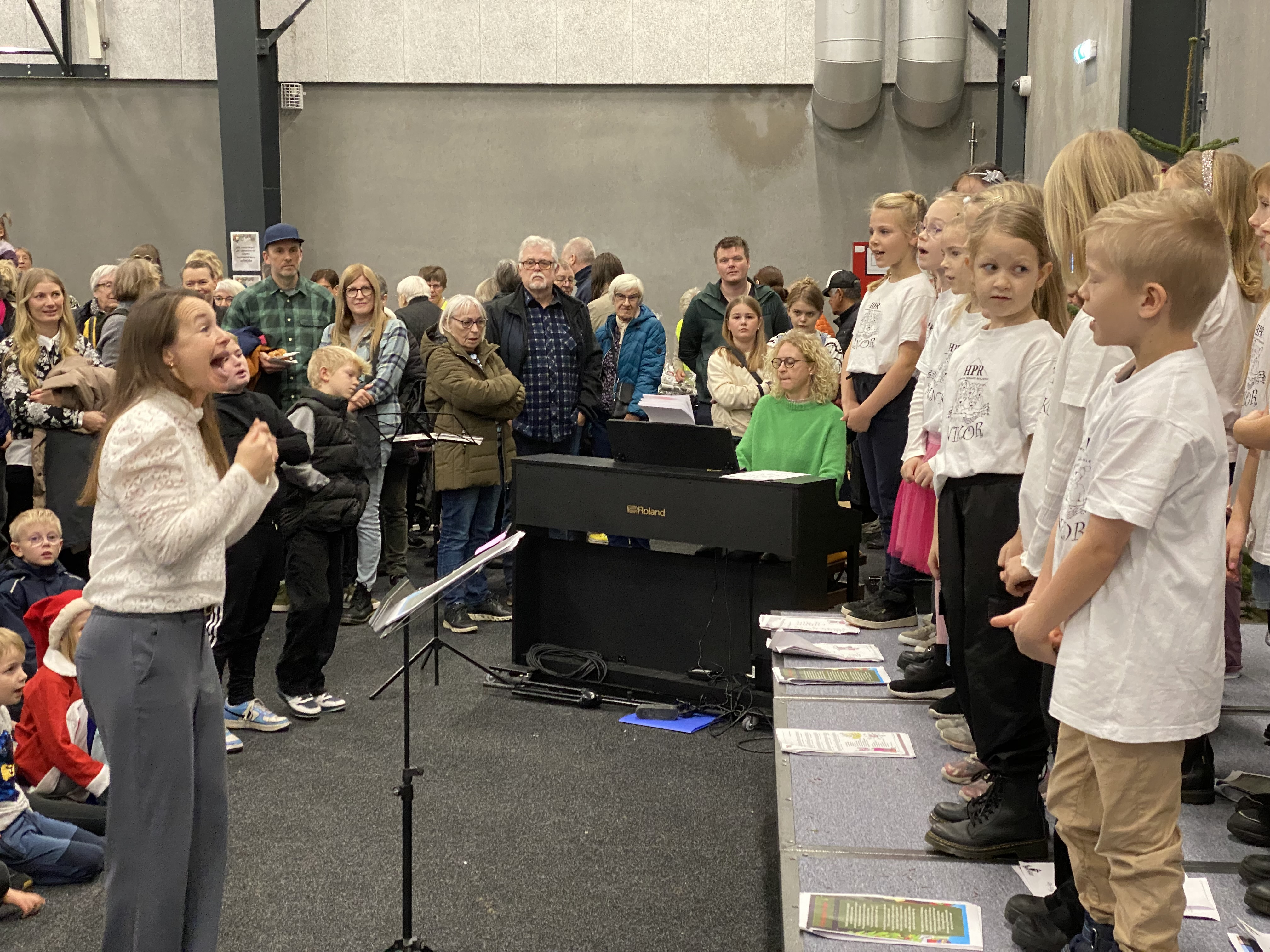 Lions Julemarked i Hjørring 9. og 10. november 2024