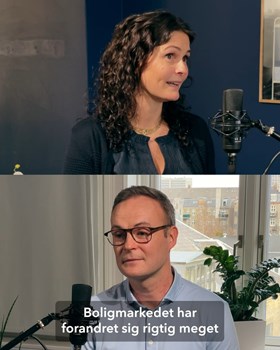 Opslagsbillede