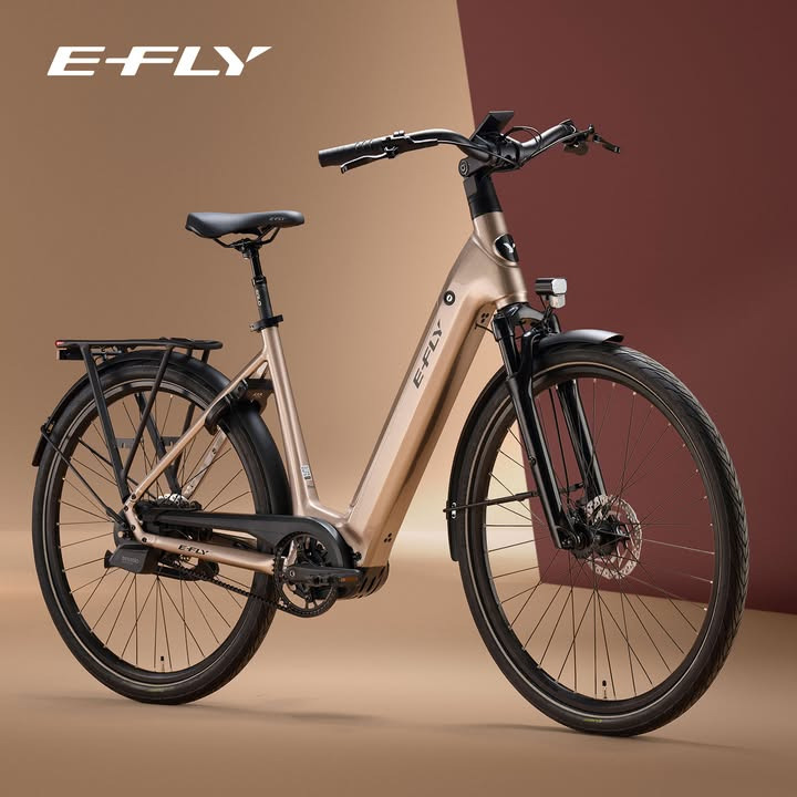 Møllers Cykel Shop præsenterer E-Fly Rhea i Mocha Grey Metallic