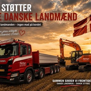Opslagsbillede