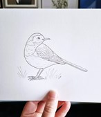 Oplev naturens vidundere med biolog Marie Rubæk Holm