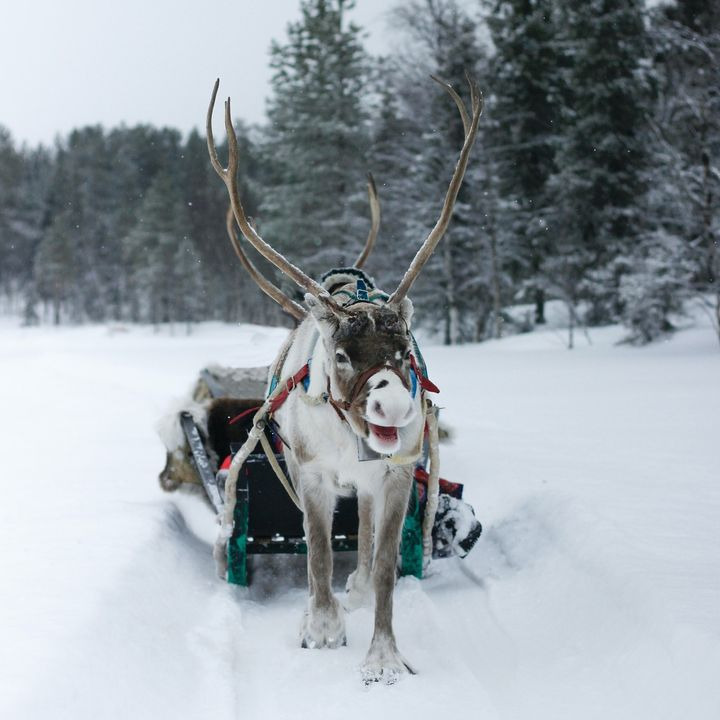 Se dagens updates fra Hammel her