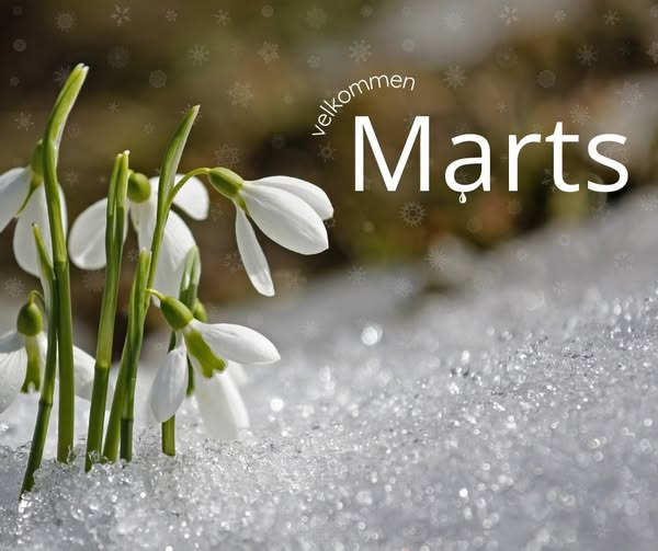 Zones By Gitte opfordrer til tidlig booking i forårstravlheden