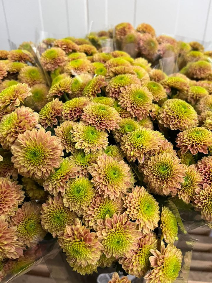 Se dagens updates fra Odder her