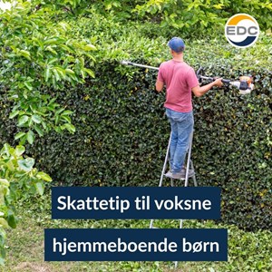 Opslagsbillede