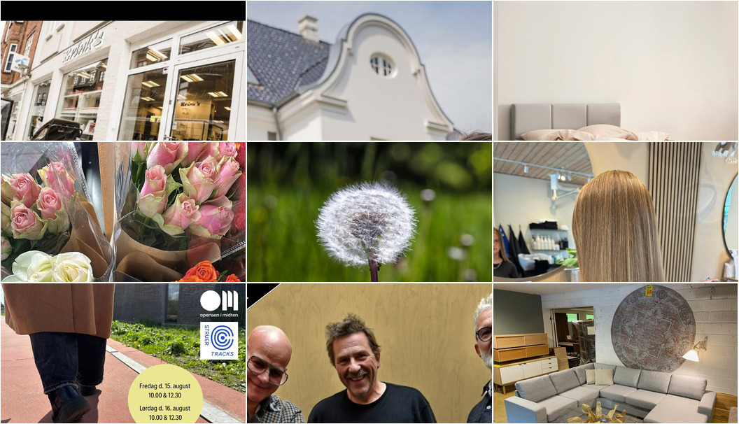 Nyt fra Skin & Colors Tattoo ApS, Florist Pernille DB, BioCirc Trav Arena Skive og 10 andre