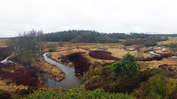Storå-komitéen godkender helhedsplan for Storå-oplandet