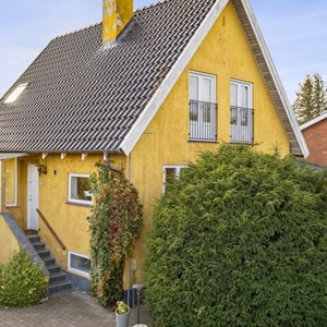 Opslagsbillede
