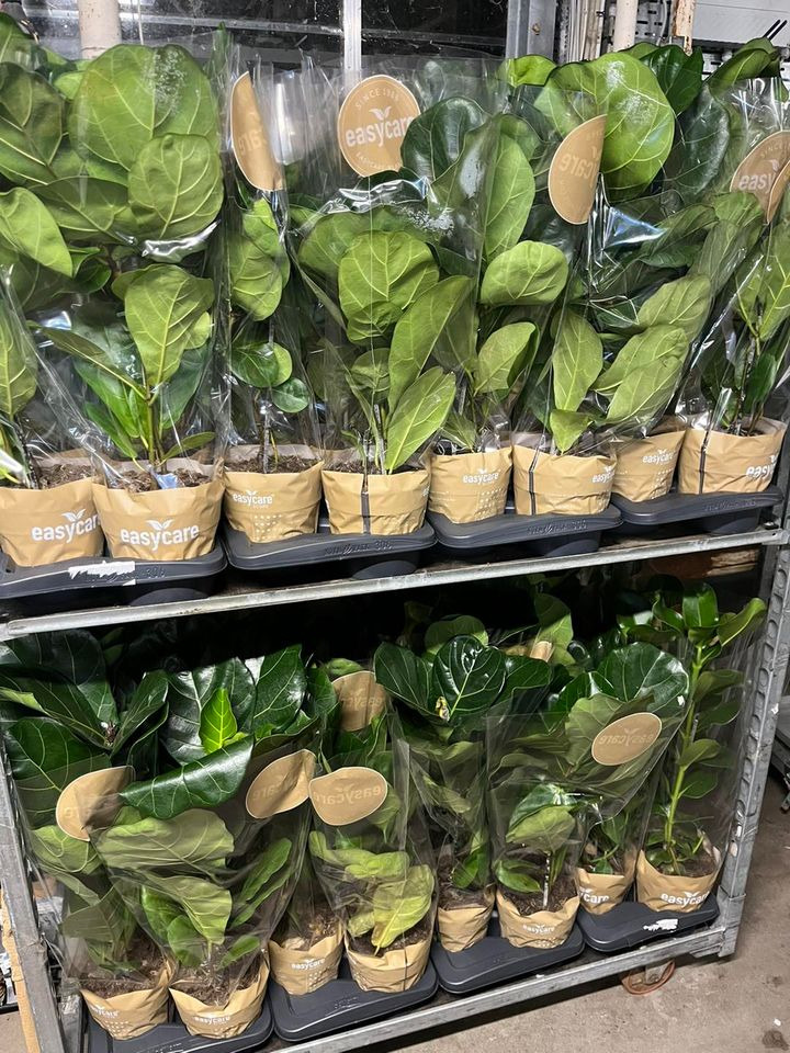 Nyt på opslagstavlen i Hedensted