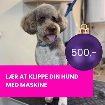Opslagsbillede