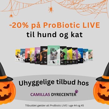 Opslagsbillede