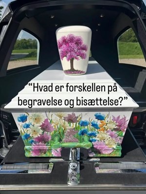 opslagsbillede