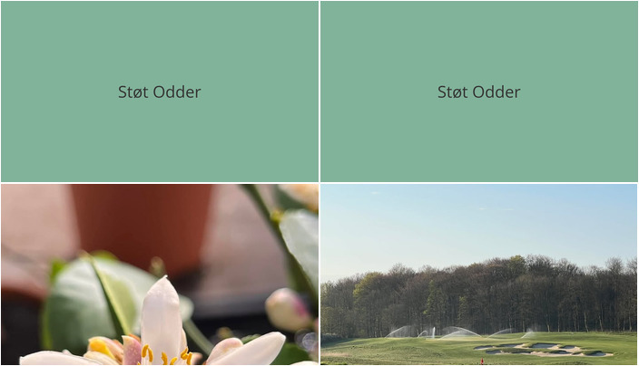 Nyt fra StensballeGaard Golfklub og Midtjysk blomstermarked 
