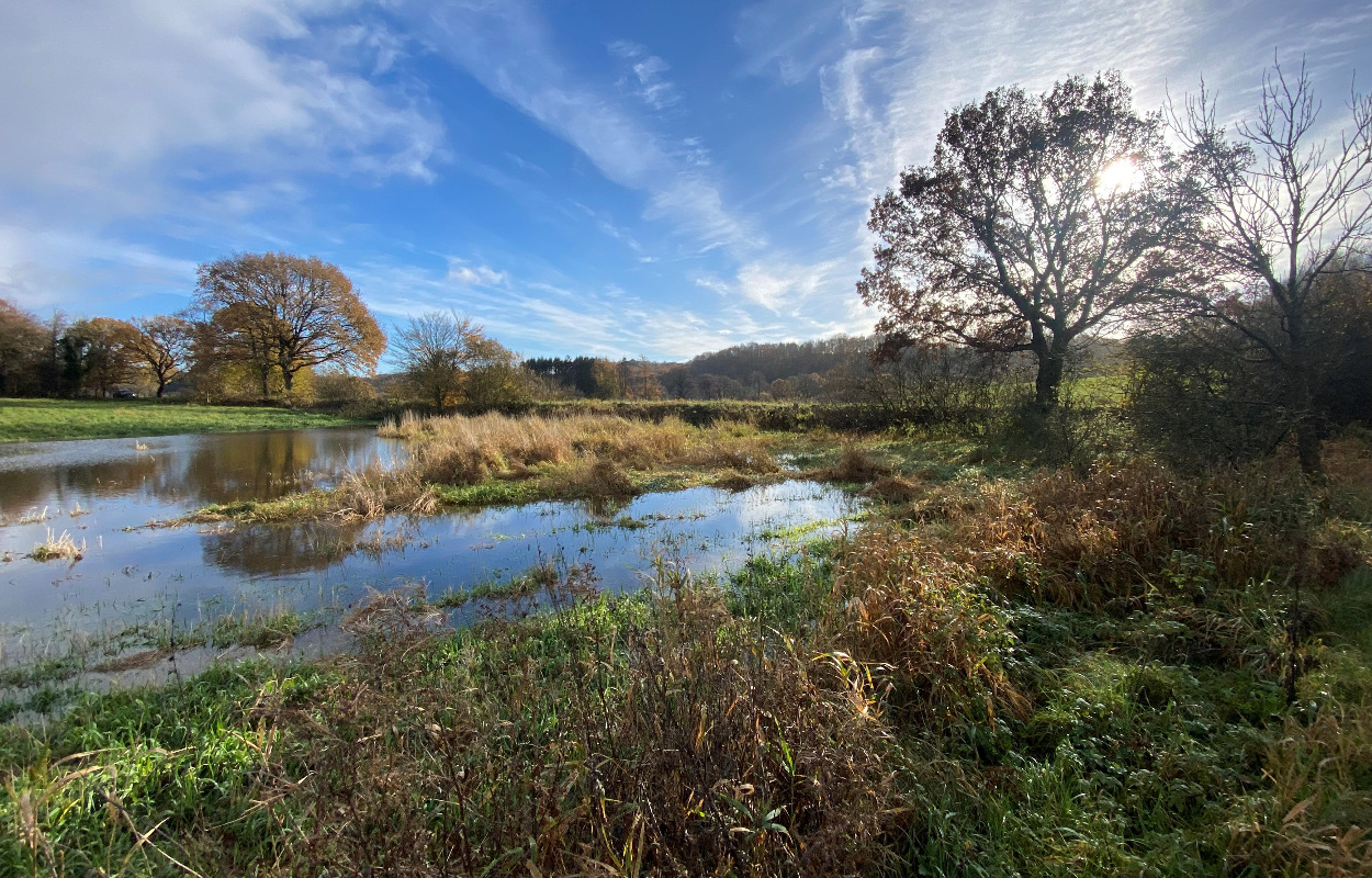 39 mio. kroner til bedre vandmiljø i Vejle Fjord