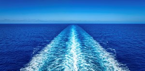 I kølvandet på Mærsk-beslutning: Dansk virksomhed klar med løsningen til grønnere søfart