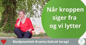 opslagsbillede