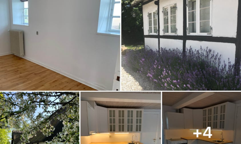 For 7100 kr. får du m² - se den og flere