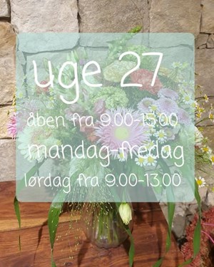 opslagsbillede