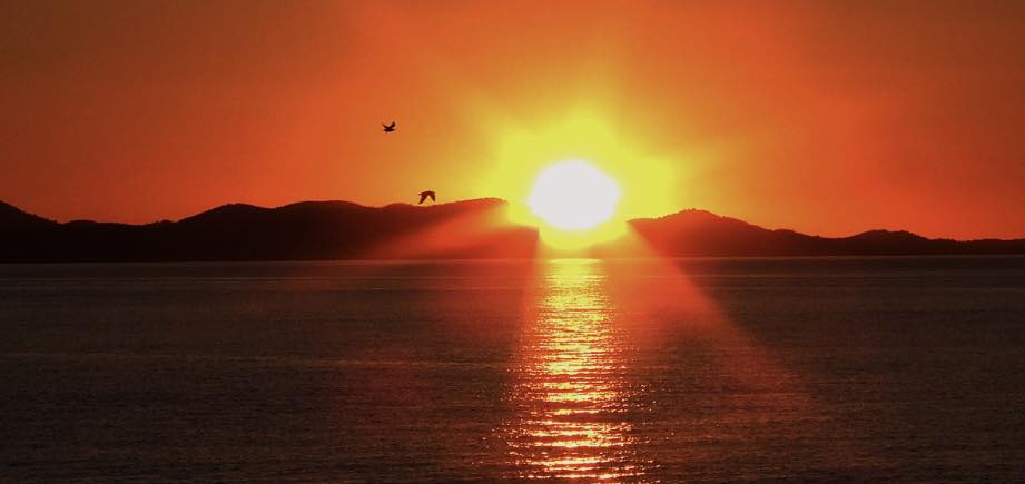 Bülows Begravelsesforretning forklarer rollen som pårørende og vigtigheden af støtte