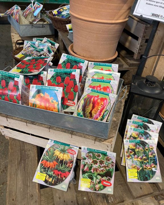 Opdatér dig her: Det nyeste fra Hobro