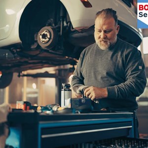 Opslagsbillede