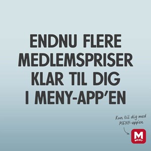 Opslagsbillede
