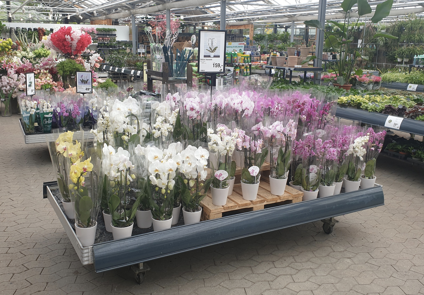 Besøg Plantorama i Randers og få en oplevelse for hele familien