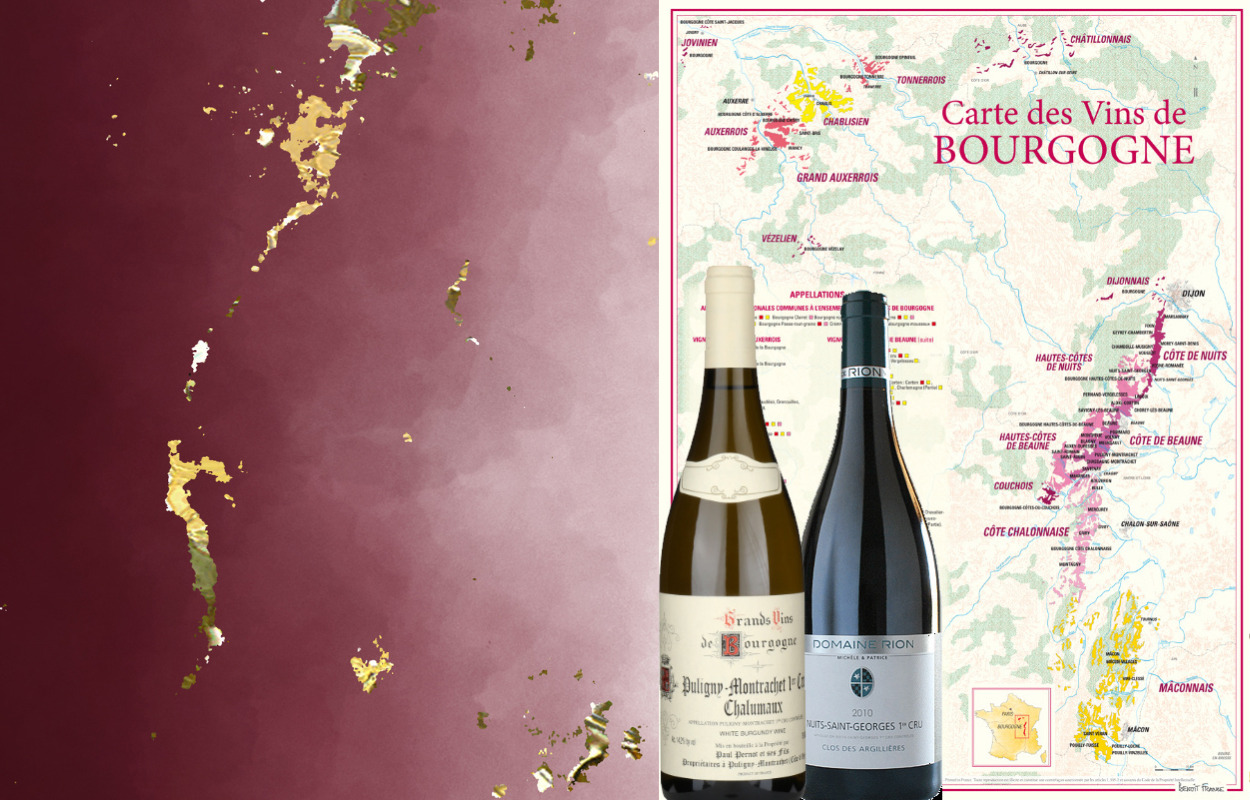 Bourgogne-smagning hos Pedersborg Vin - 6. juni 2024