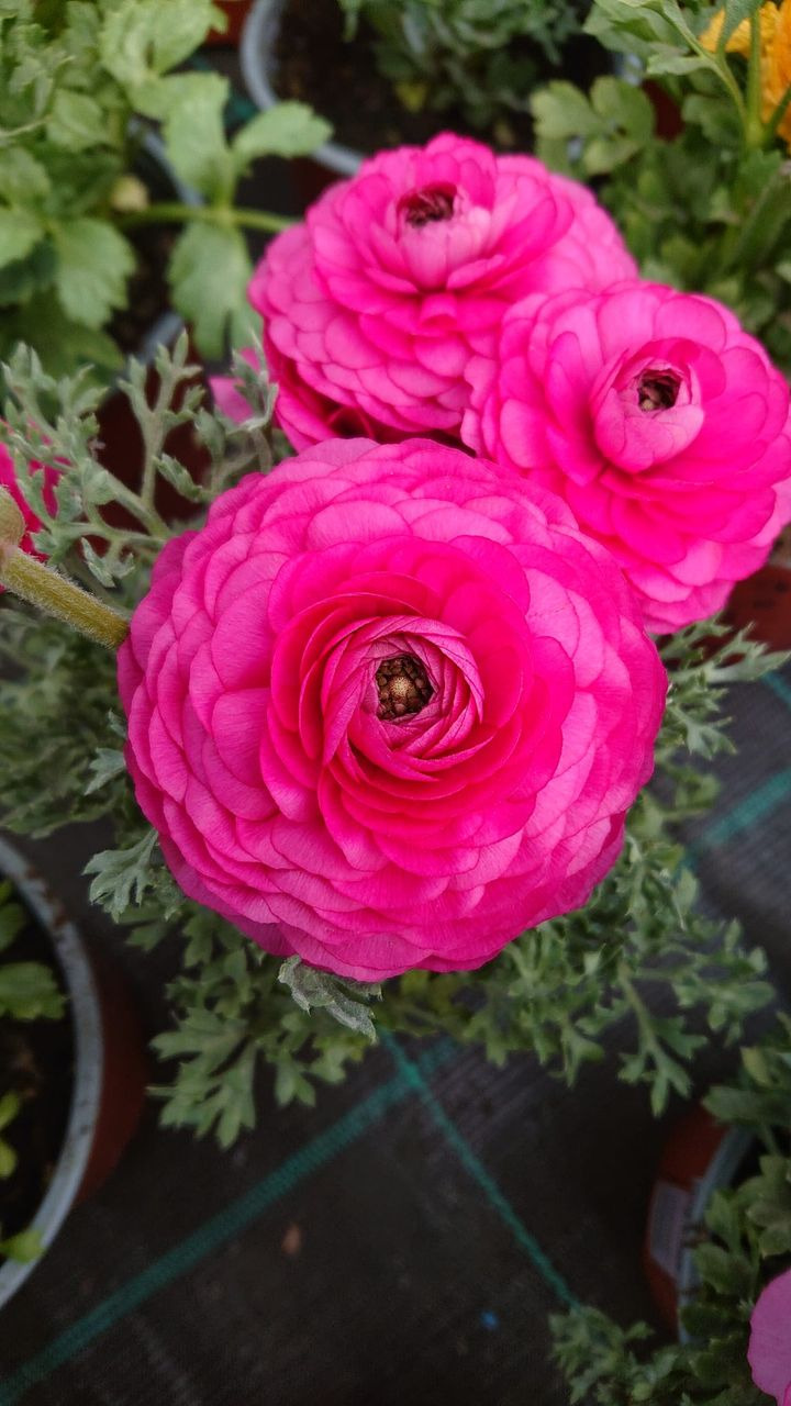 Se dagens updates fra Silkeborg her