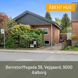 Opslagsbillede
