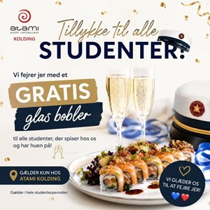Opslagsbillede