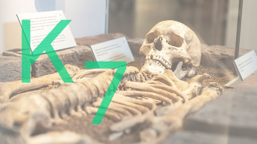 Gratis museumsbesøg for alle under 27 år