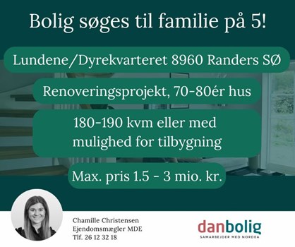 Opslagsbillede