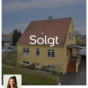 Opslagsbillede