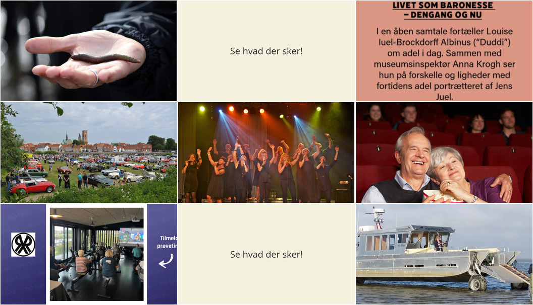 Ugen i Ribe: Fra Vadehavsvandring til gourmetoplevelser med Mandøpigen