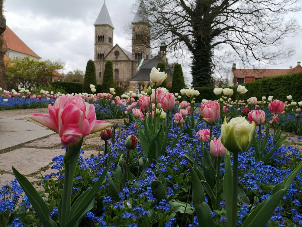 Oplev Viborg: Historie, kultur og moderne underholdning