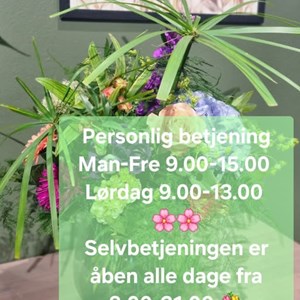 Opslagsbillede